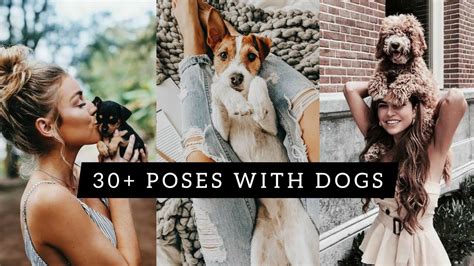 cute dog poses|doggie photo shoot.